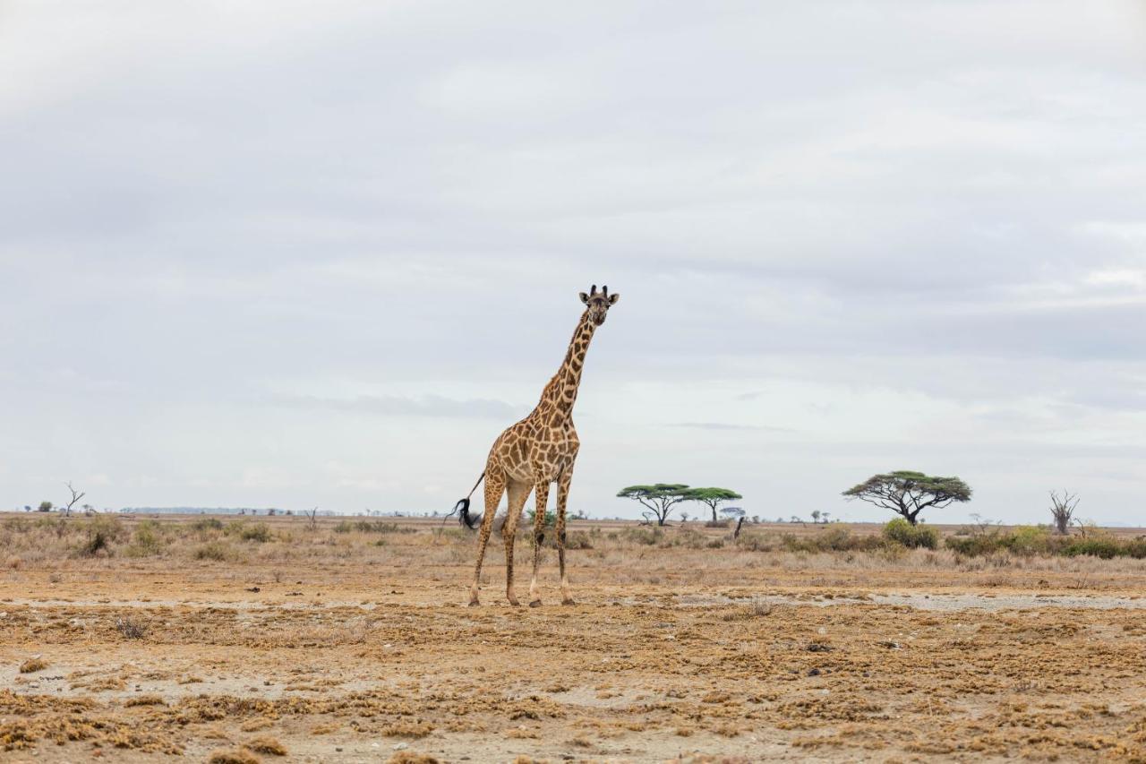 Wild Amboseli Ndovu Cottage. Exterior foto