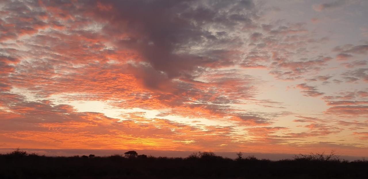 Wild Amboseli Ndovu Cottage. Exterior foto