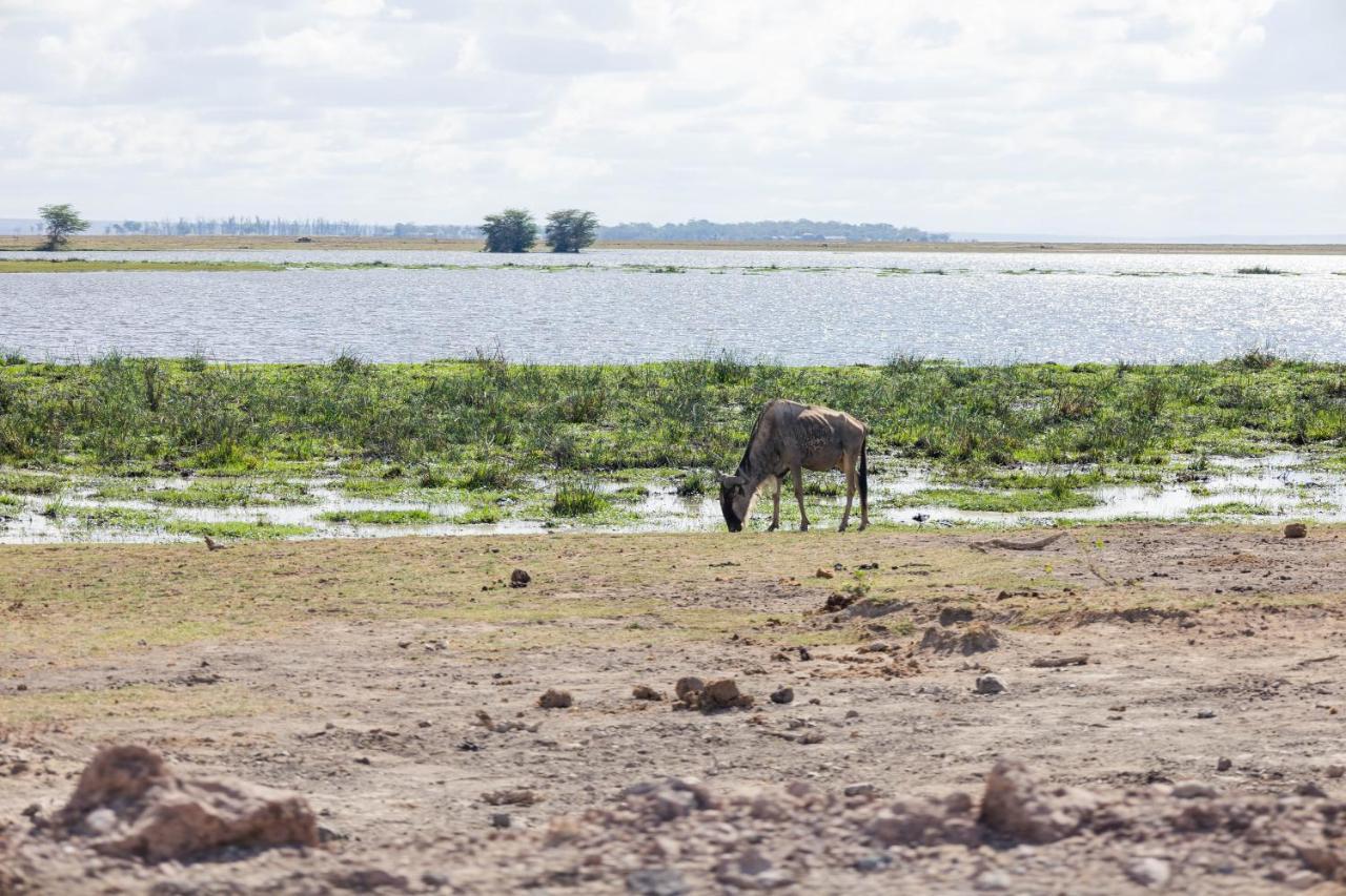 Wild Amboseli Ndovu Cottage. Exterior foto
