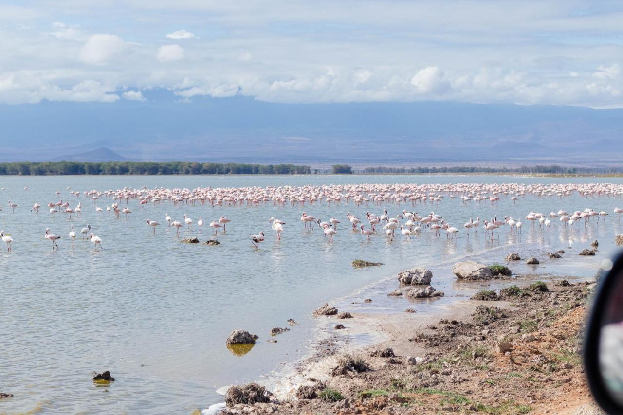 Wild Amboseli Ndovu Cottage. Exterior foto