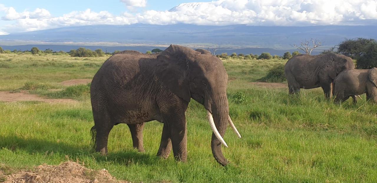 Wild Amboseli Ndovu Cottage. Exterior foto