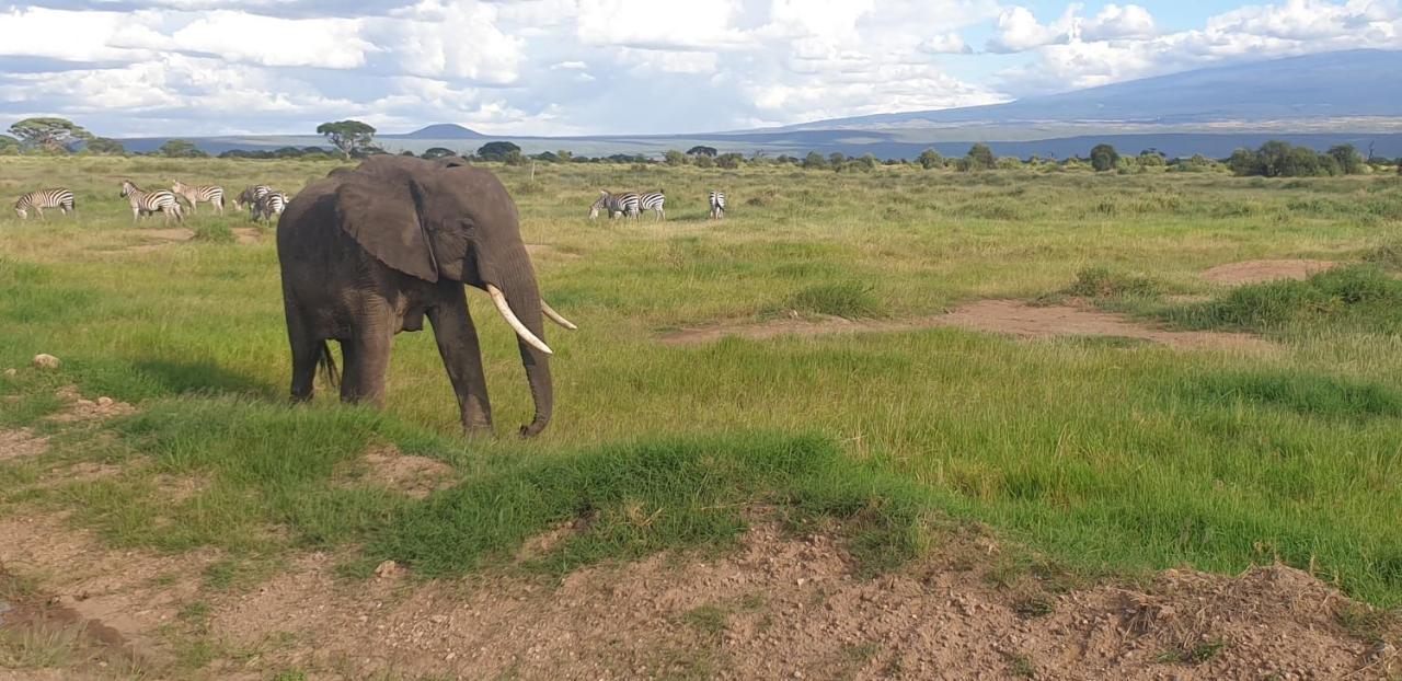 Wild Amboseli Ndovu Cottage. Exterior foto