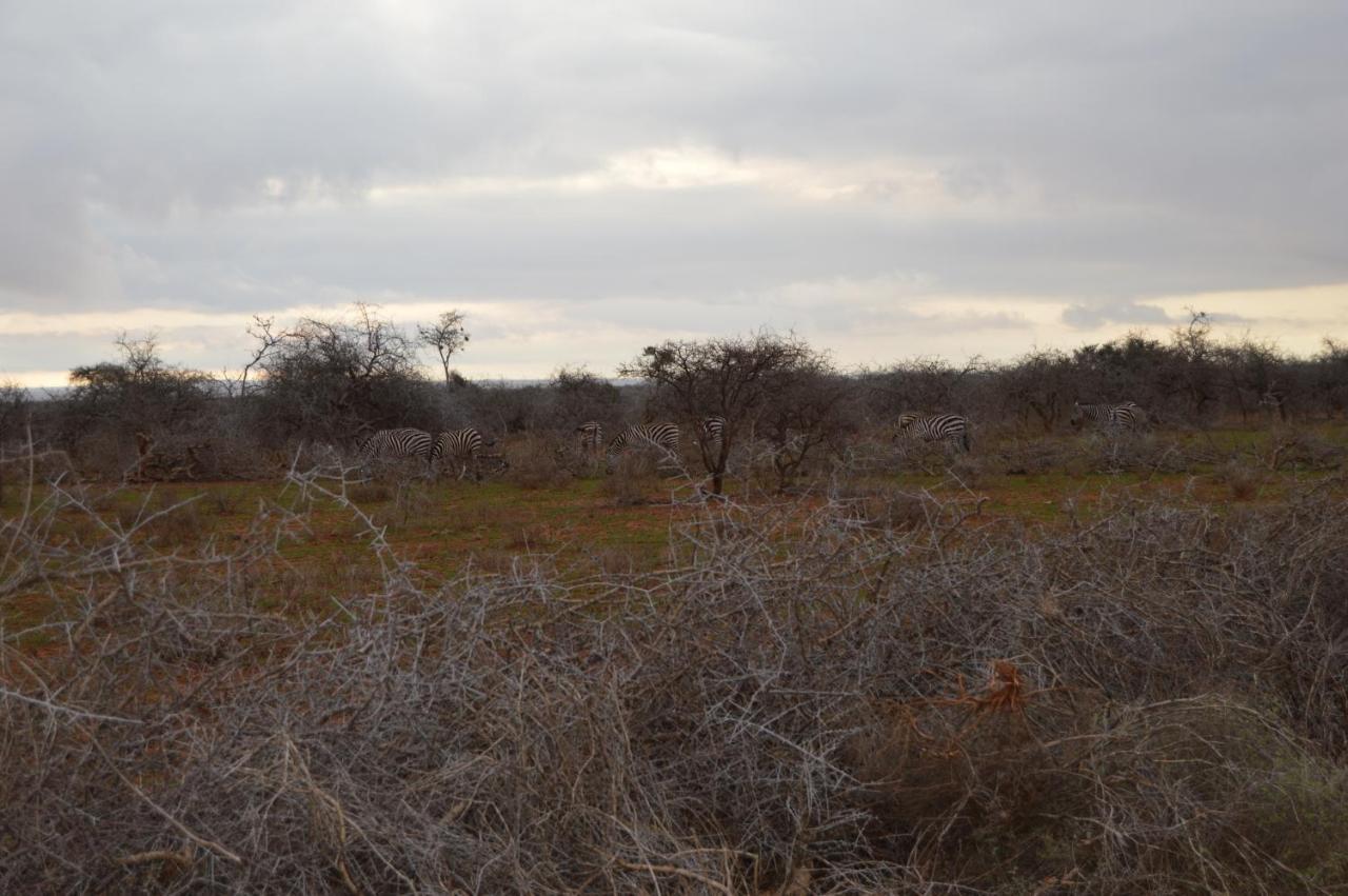 Wild Amboseli Ndovu Cottage. Exterior foto