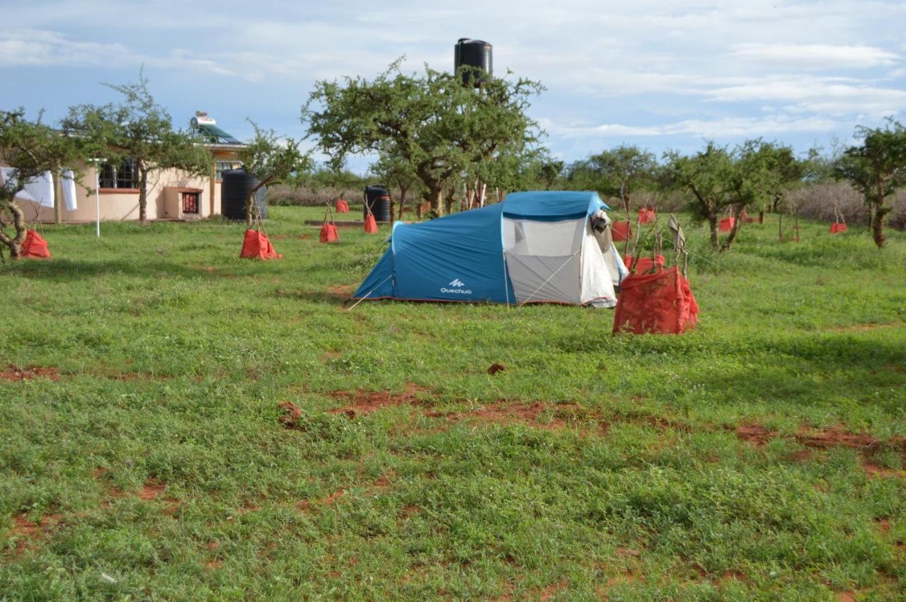 Wild Amboseli Ndovu Cottage. Exterior foto