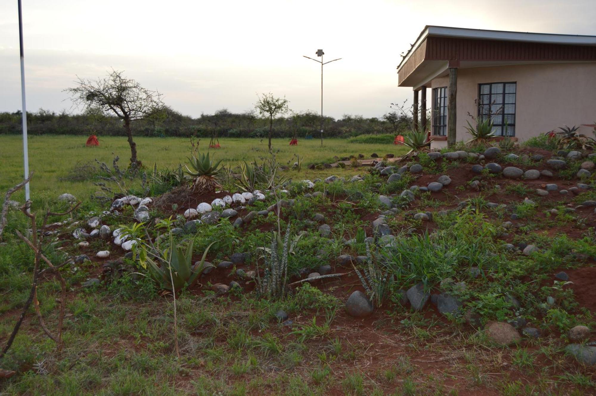 Wild Amboseli Ndovu Cottage. Exterior foto