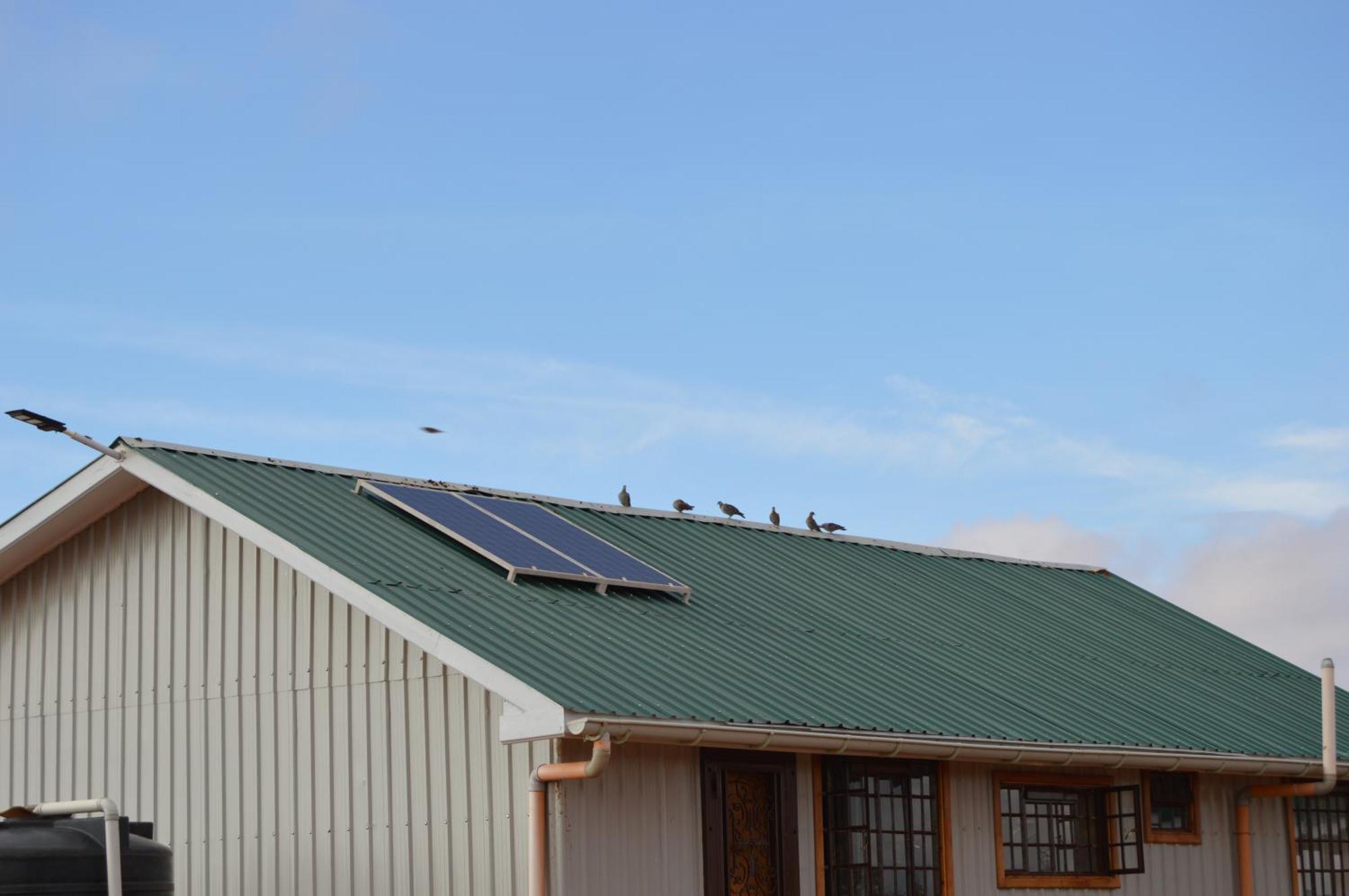 Wild Amboseli Ndovu Cottage. Exterior foto