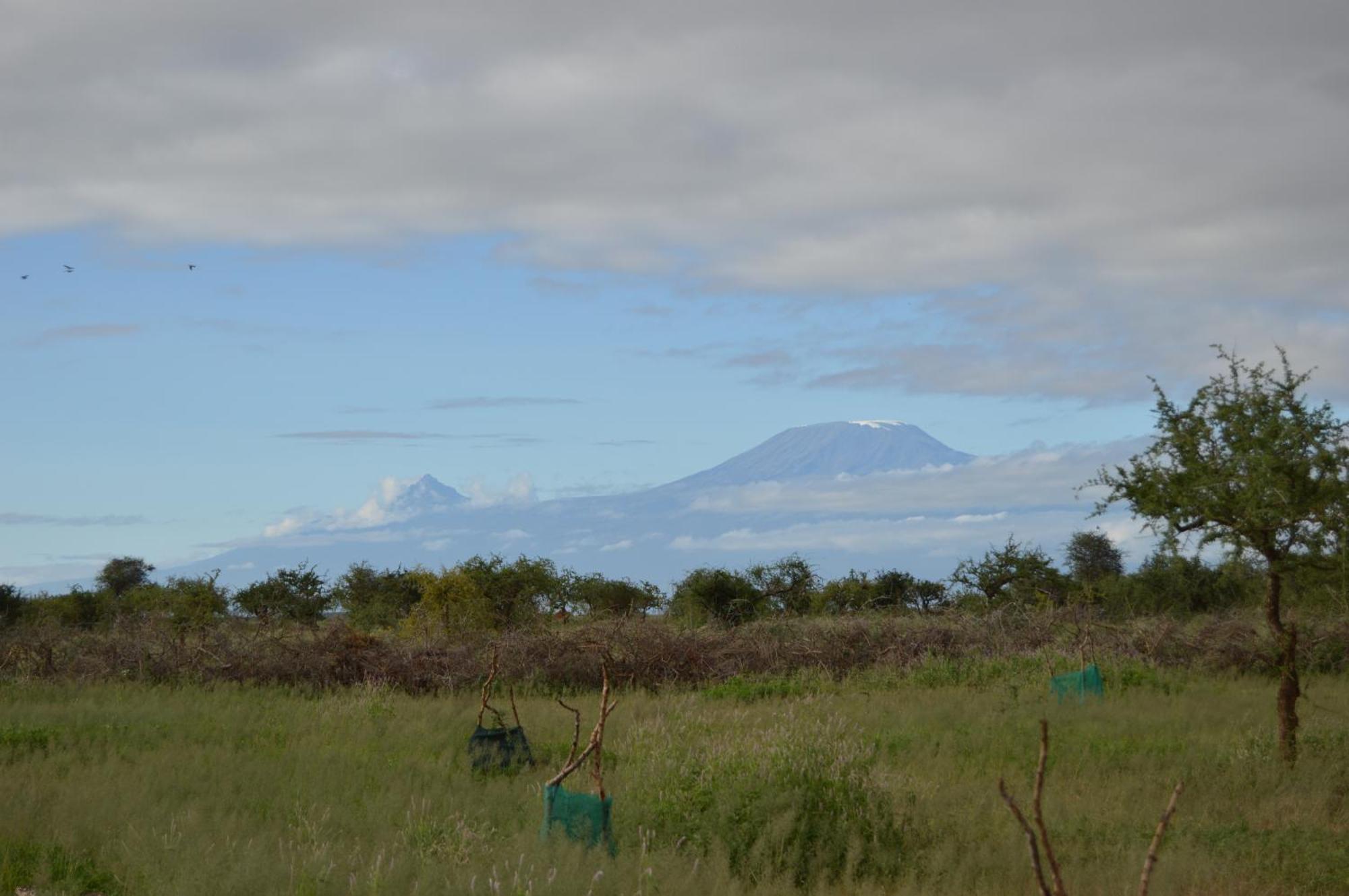 Wild Amboseli Ndovu Cottage. Exterior foto